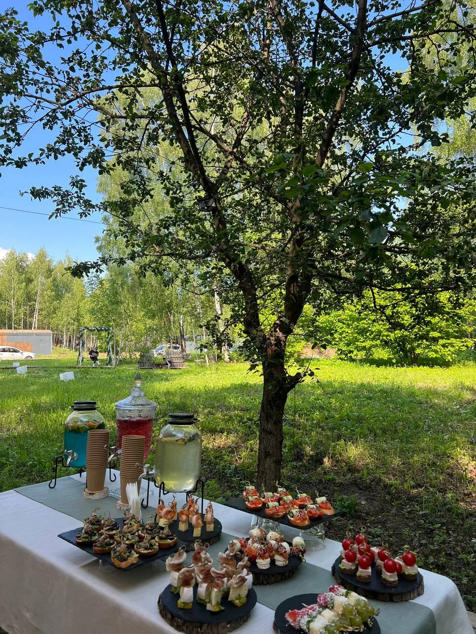 Пример открытой площадки и сервировки команды